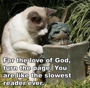 slowreader.jpg