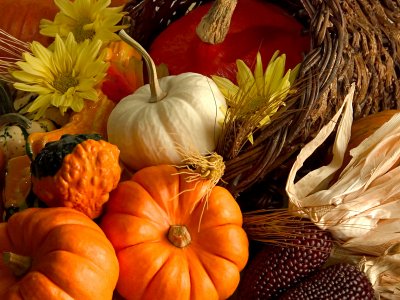 FALLveggies.jpg