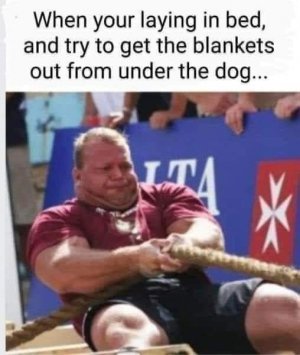 287A3B41-D6B0-4D3D-94A0-8C2CCE32E547.jpeg