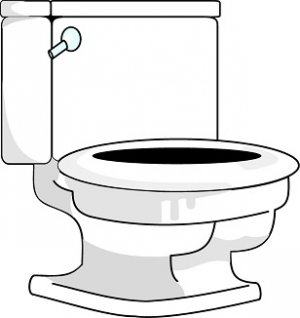TOILET1.JPG