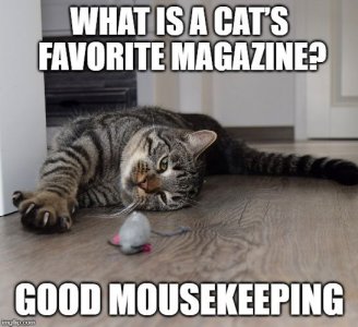 goodmousekeeping.jpg