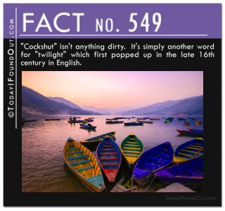 TIFO-Quick-Fact-549.jpg