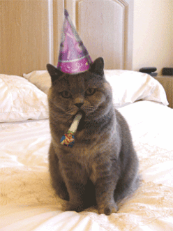 02E0B87E-6027-4C90-9D4B-6F484DF69B2A.gif