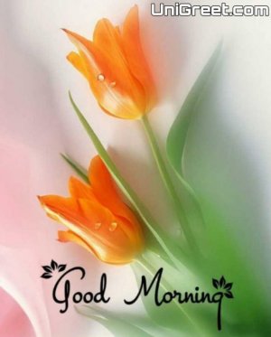 Good-morning-photo-824x1024.jpg
