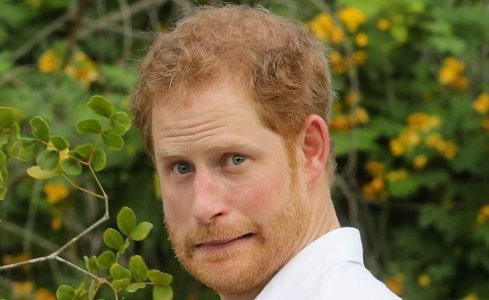 royal3.jpg