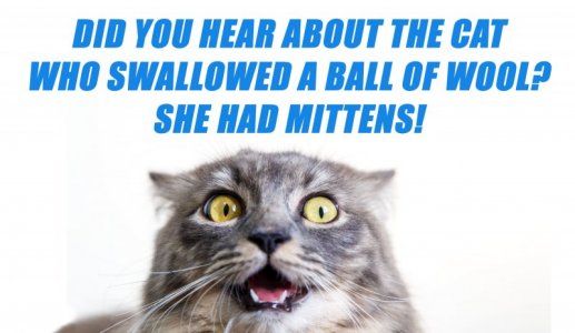 mittens.jpg