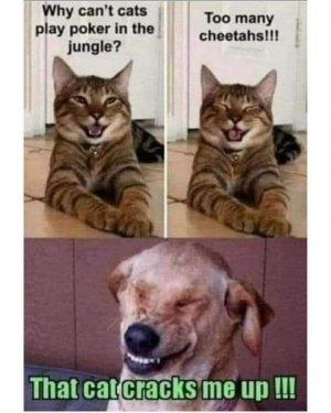 FB_IMG_1663201019521.jpg