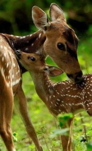 FB_IMG_1663201303434.jpg