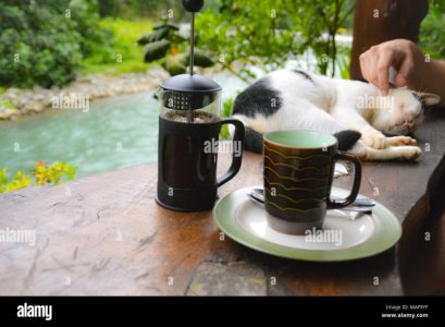 enjoying-morning-coffee-in-a-balcony-facing-a-river-with-a-sleeping-pet-cat-MAF9YF.jpg
