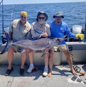 IMG_3100.jpg IMG_3100.jpg