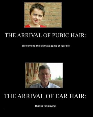 the-game-its-rather-quick 2.jpg the-game-its-rather-quick 2.jpg