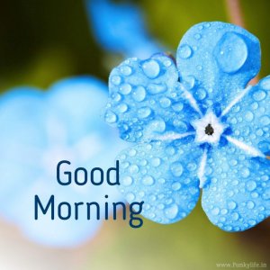 good-night-image-funkylife-17-2.jpg