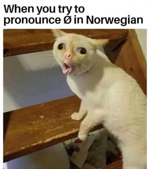 307112858_5661107887281787_2884924761620828897_n.jpg