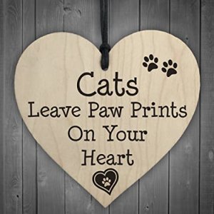 paw prints.jpg