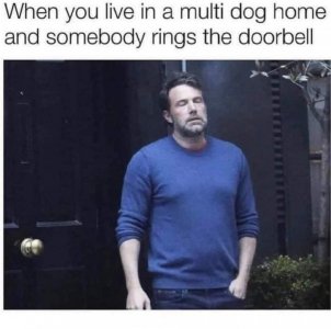 499971B8-E96F-4726-8BD5-202FB6298ABE.jpeg