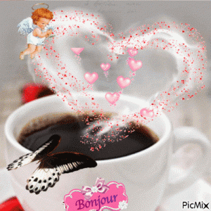 8640801_822a6.gif
