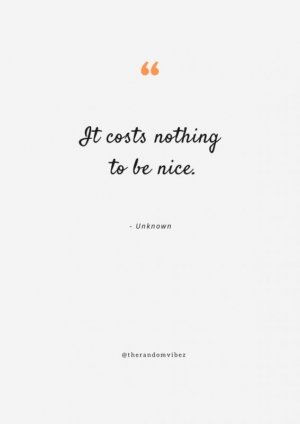being-nice-quotes.jpg