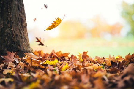 istockphoto-697647516-170667a.jpg