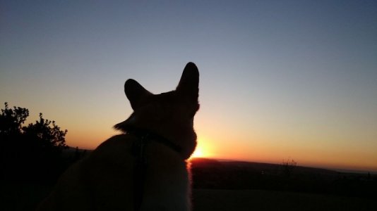 0ECD68D2-3BF1-48F8-9E6E-694ABADF658C.jpeg
