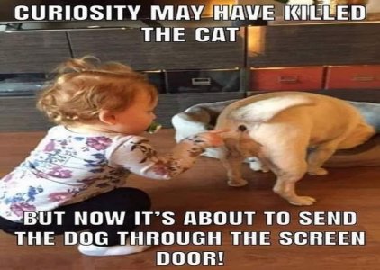 88E627AA-3A1E-477F-95DE-A498989D44BB.jpeg