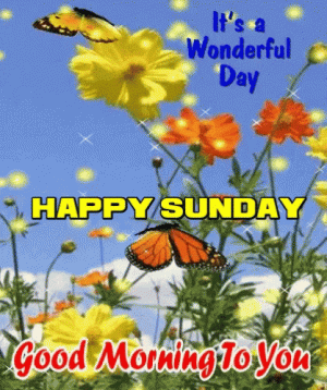 0210A007-80A3-408C-A93D-DCD2558679FC.gif