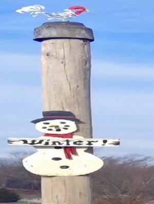 winter.jpg