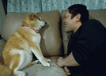 please-stop-talking.gif