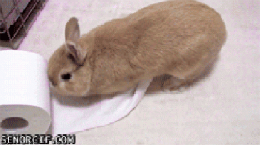 aa0ac3b09557374bedc4ef99f51163f7[1].gif