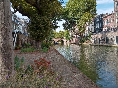 canal1.jpg
