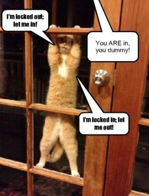 cattitude.jpg