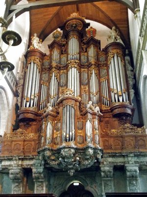organ.jpg