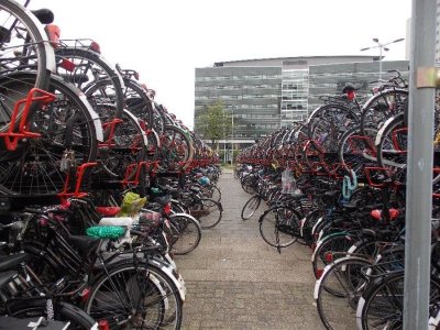 bikes.jpg