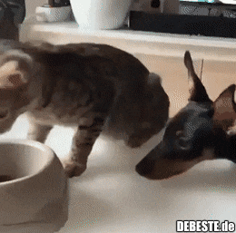 teamwork.gif