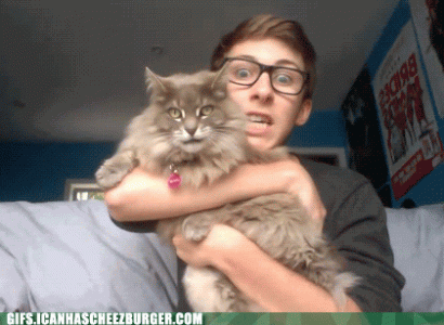 hear-us-roar.gif