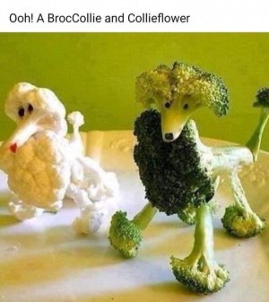 098760E0-A88C-4BB7-971A-00DD50E7CA1B.jpeg