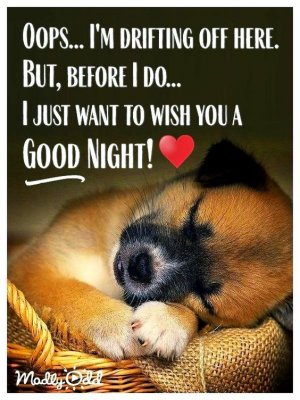 2728229c996578cd0a518032cd62bd7e[1].jpg