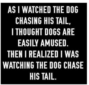 dog tail.jpg