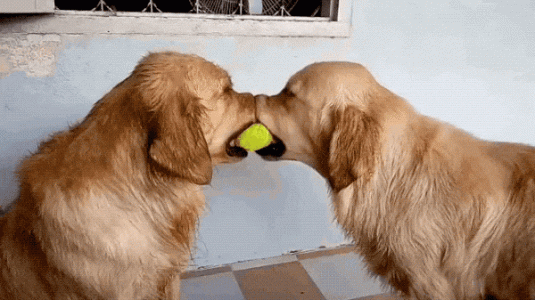 balltime.gif