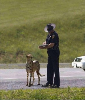 thumbnail_image013.jpg