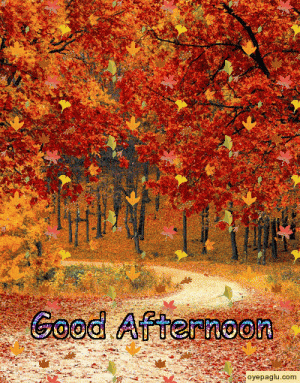 goodnoon.autumn2.gif