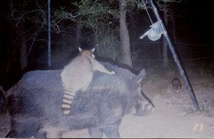cam7.jpg
