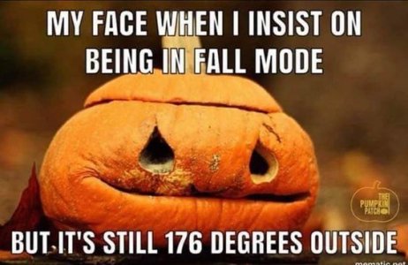 a91bb29566d982329fec6e0ae82c46e1[1].jpg