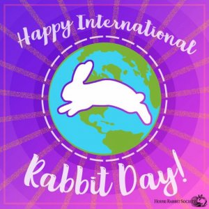 rabbit_day.jpg