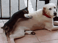 right there. aah .gif