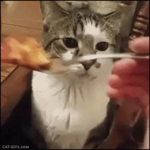 yuk.gif