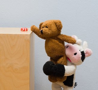 teddy&cow.jpg