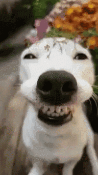 i feel pretty .gif