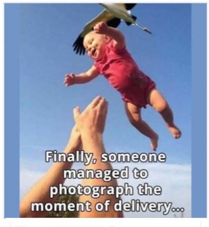 delivery.jpg