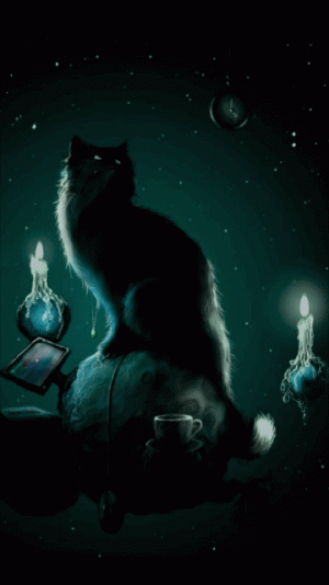 black-cat-46.gif