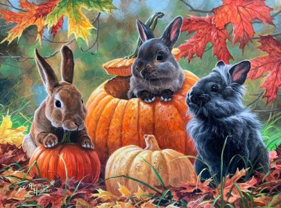 bunnies.jpg